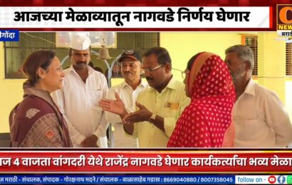 श्रीगोंदा – आजच्या मेळाव्यातून नागवडेंची राजकीय दिशा ठरणार