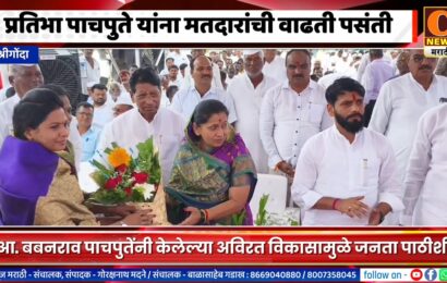 श्रीगोंद्यात डॉ. प्रतिभा पाचपुते यांना मतदारांची वाढती पसंती, केला विजयाचा संकल्प