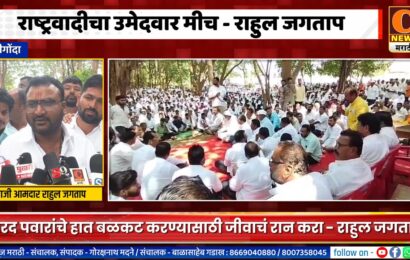 श्रीगोंद्यातून राष्ट्रवादीचा उमेदवार मीच – राहुल जगतापांना खंबीर विश्वास
