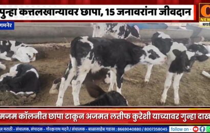 संगमनेर – पुन्हा कत्तलखान्यावर छापा, १५ जनावरांना जीवदान देत अजमत लतीफ कुरेशीवर गुन्हा दाखल