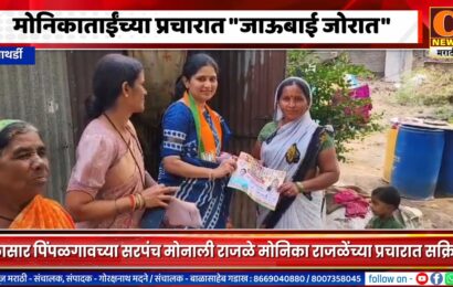 पाथर्डी – मोनिकाताईंच्या प्रचारात जाऊबाई मोनाली जोरात, गावागावांत जाऊन मतदारांच्या भेटीगाठी