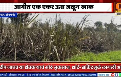 संगमनेर – निमजमध्ये शॉर्ट-सर्किटमुळे एक एकर ऊस जळून खाक संगमनेर – निमजमध्ये शॉर्ट-सर्किटमुळे एक एकर ऊस जळून खाक