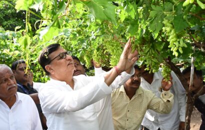 कृषी क्षेत्रात शाश्वत योजना राबविणाऱ्या माजी कृषी मंत्री बाळासाहेब थोरात यांचा आदर्श वादग्रस्त कृषीमंत्र्यांनी घ्यावा.