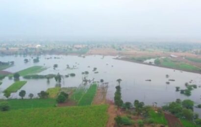 माजीमंत्री बाळासाहेब थोरात यांच्या प्रयत्नातून आलेल्या निळवंडेच्या पाण्यामुळे जलसमृद्धी माजीमंत्री बाळासाहेब थोरात यांच्या प्रयत्नातून आलेल्या निळवंडेच्या पाण्यामुळे जलसमृद्धी