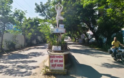 झाडांचे शहर म्हणून संगमनेरची नवी ओळख, गर्द झाडांमुळे हिरवाईसह ऑक्सिजन मध्ये वाढ !