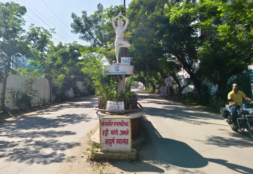 झाडांचे शहर म्हणून संगमनेरची नवी ओळख, गर्द झाडांमुळे हिरवाईसह ऑक्सिजन मध्ये वाढ !